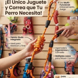 PASEADOR ANARANJADO PUPPY$CO.