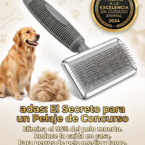 CEPILLO CARDA GRIS