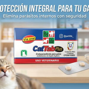 CAT TAB PLUS