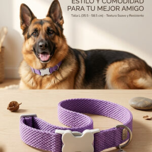 COLLAR BONITA PET TALLA L